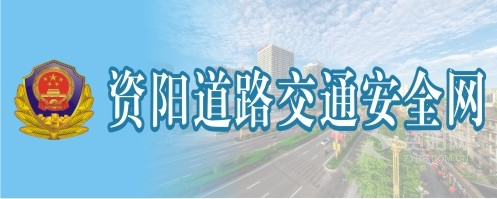 大骚逼综合资阳道路交通安全网